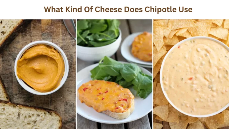 What kind of cheese does Chipotle use (5)