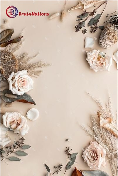 Beige aesthetic
